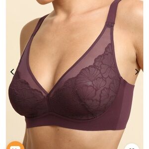 Elegant Lace Mesh Bralette in Rich Purple